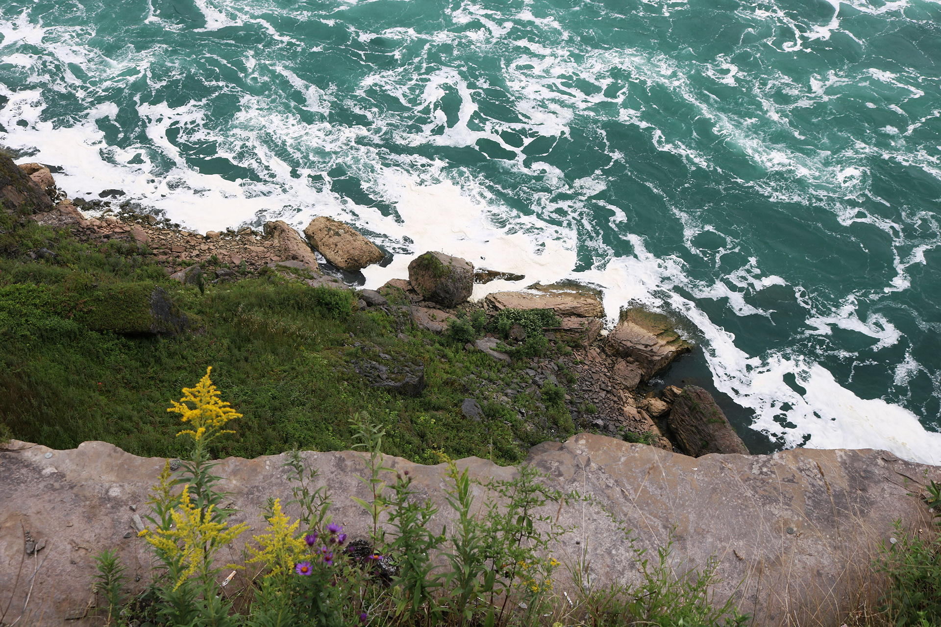 rocky niagara falls shores moss grass flowers