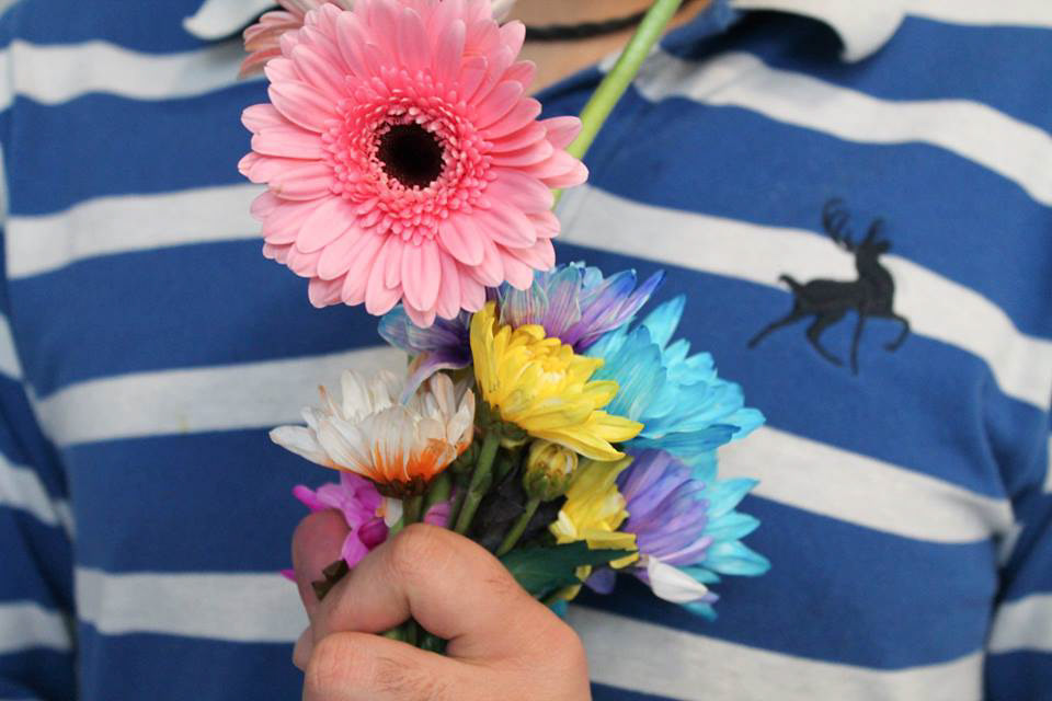 small bouquet of flowers held in hand blue and white striped shirt