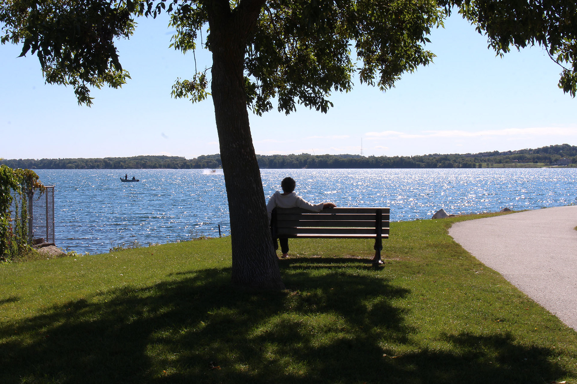 man sitting on a wooden bench under a shady tree in front of lake